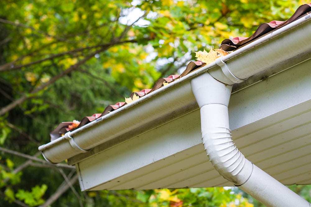 Close-Up-of-Leaves-in-a-Gutter-System