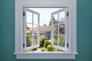 Window