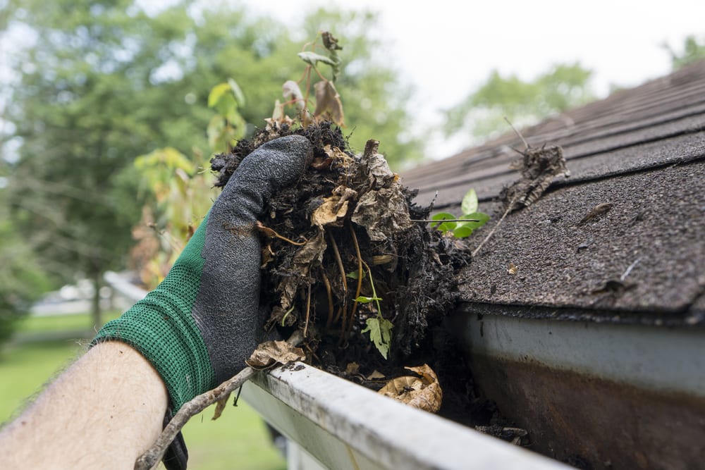 Gloved hand cleaning out gutters