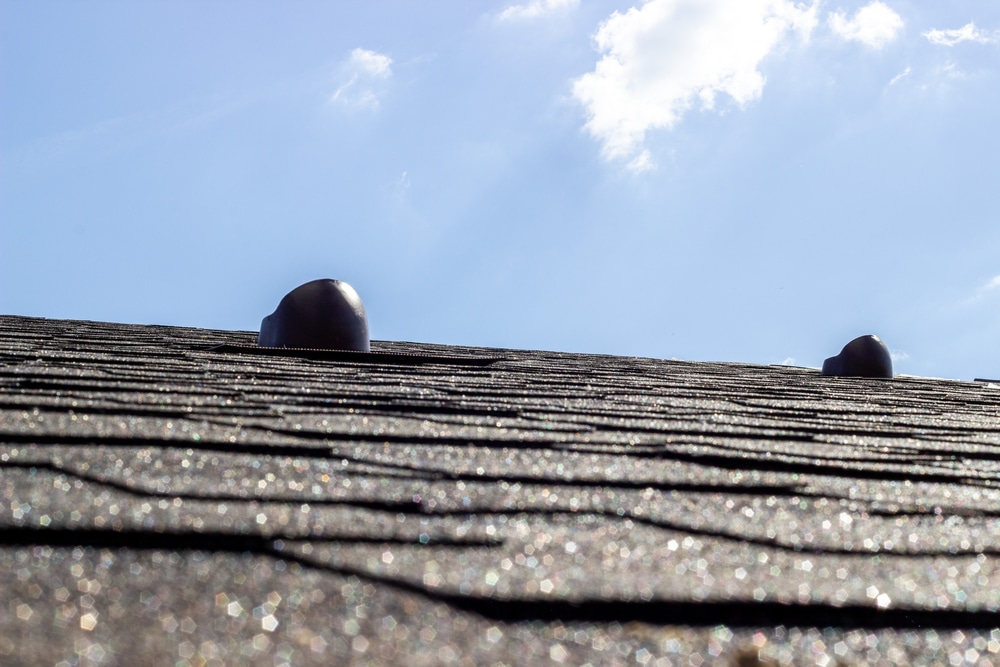 Close-up of asphalt shingle roof