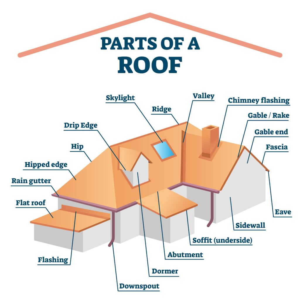 Labeled diagram of a roof