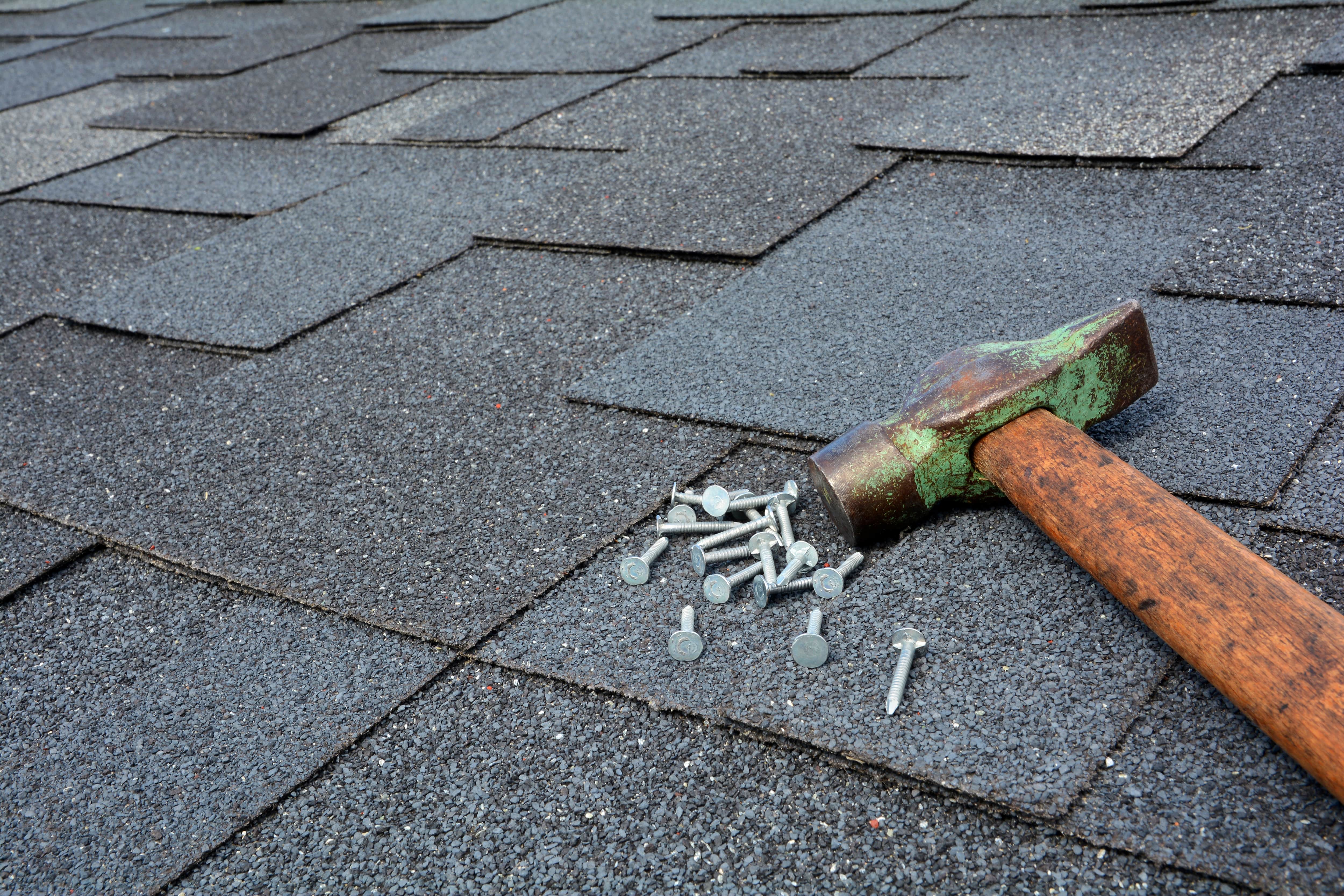 Close-up of hammer and nails resting on roof shingles