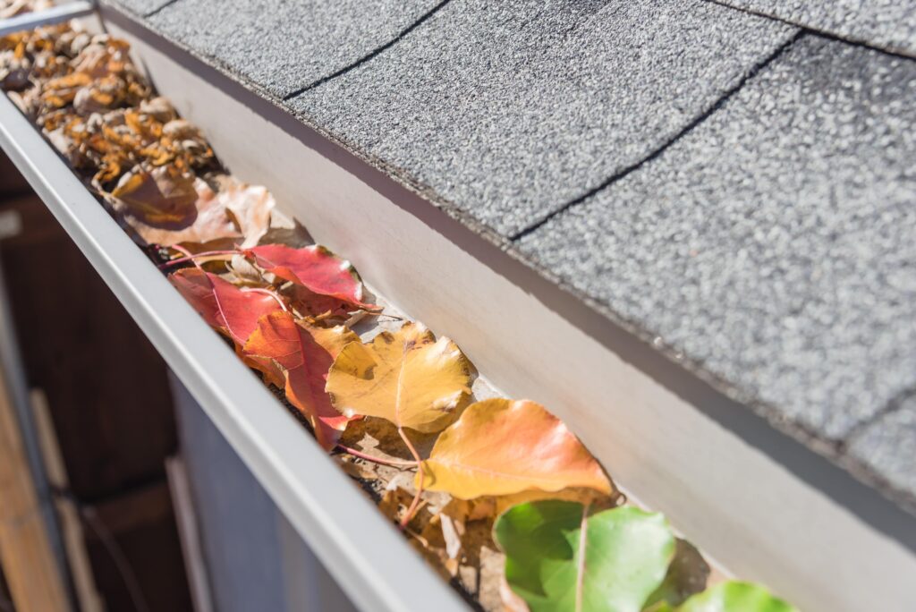 Close-up of home gutter filled with leaves