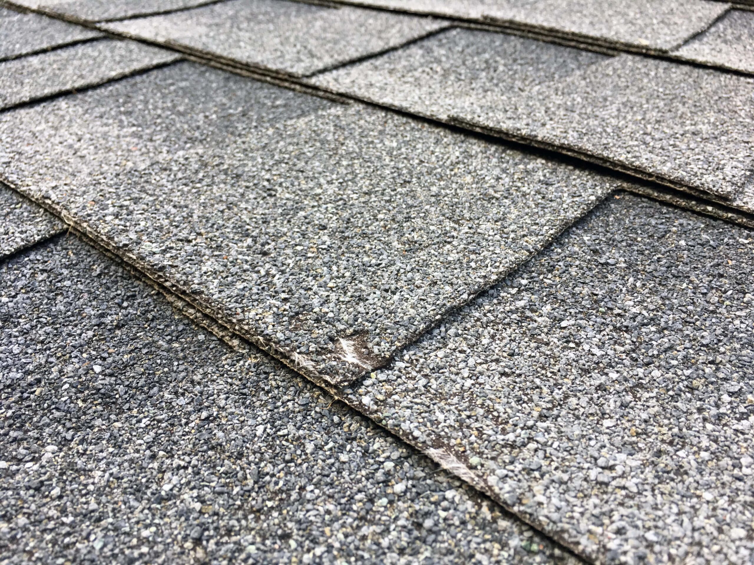 Close-up of hail damage on asphalt shingles