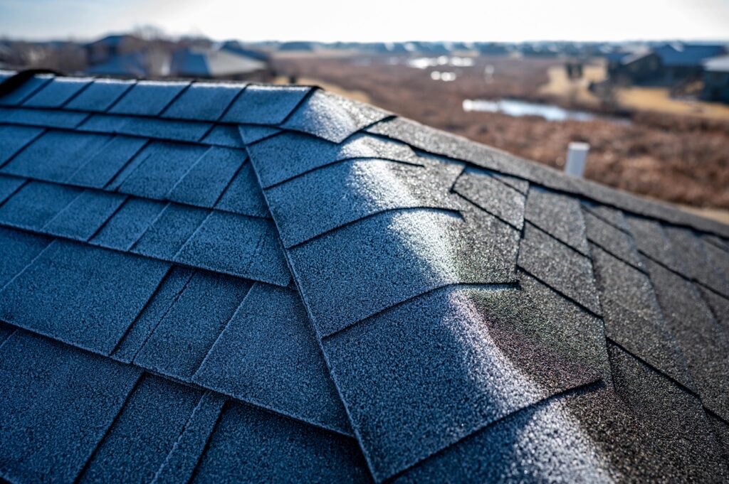 Close-up of shingles