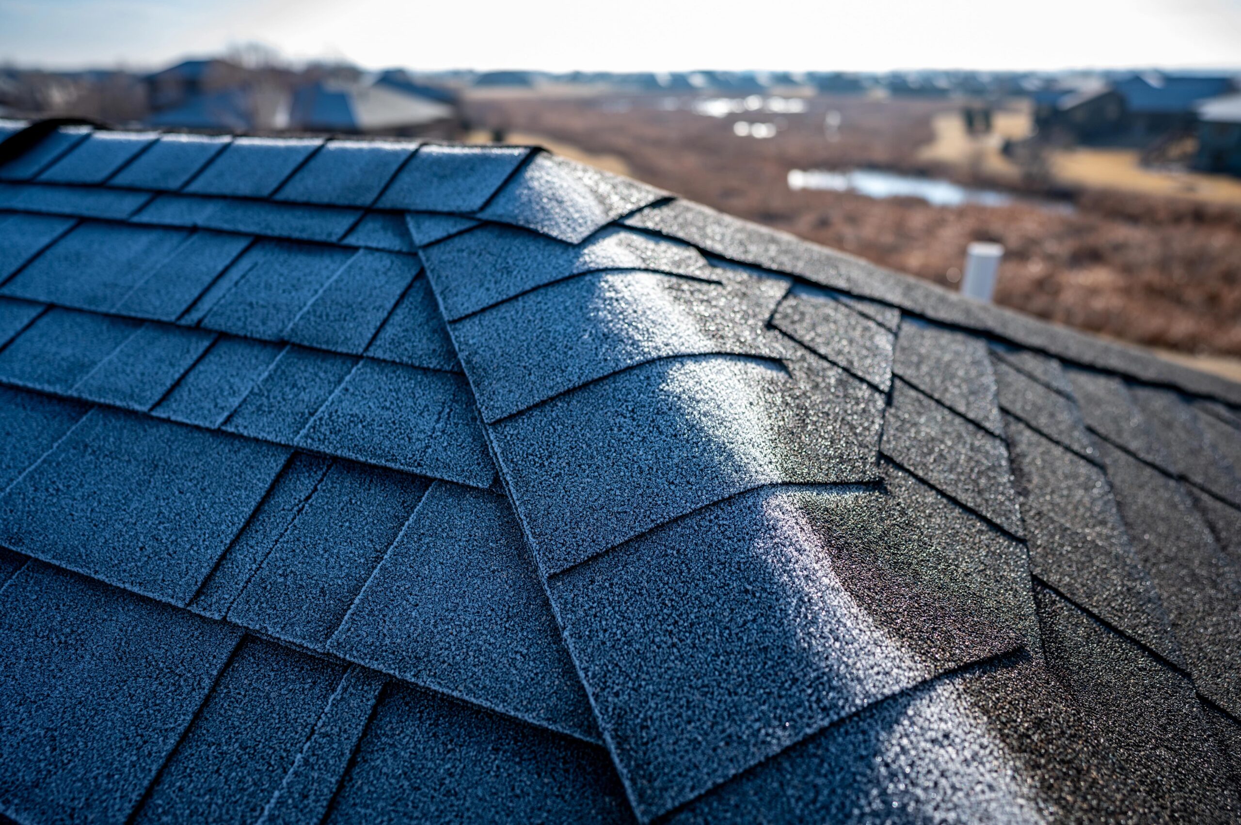 Close-up of shingles